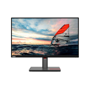 Lenovo ThinkVision P25i-30 24.5" FHD Monitor-63F4MAT1UK