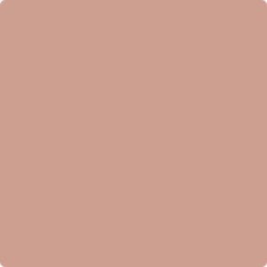 Visico Solid Color Background-Cocoa (3 x 5 m)
